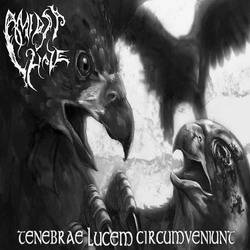 Amidst Haze : Tenebrae Lucem Circumveniunt